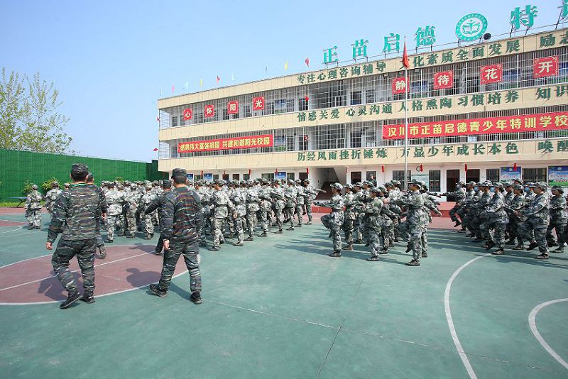 正苗启德教育