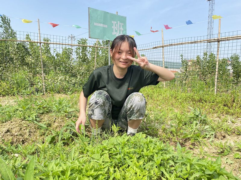正苗启德教育