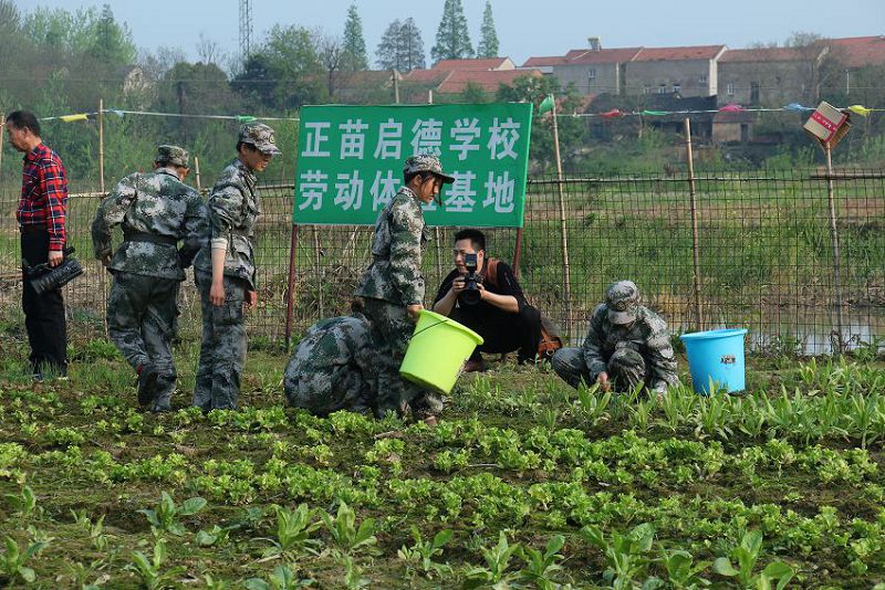 正苗启德教育