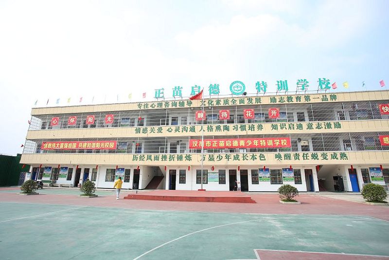 正苗启德教育