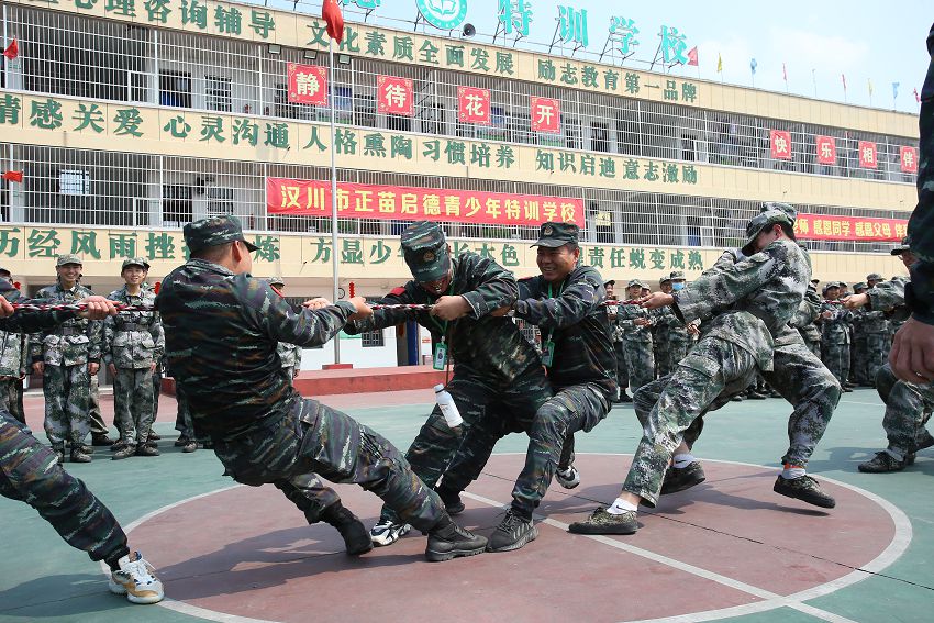 正苗启德教育