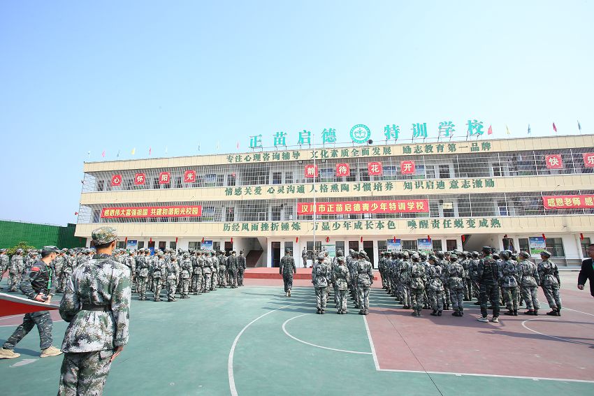 正苗启德教育