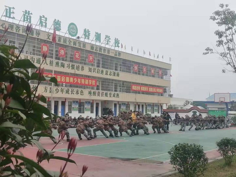 正苗启德教育