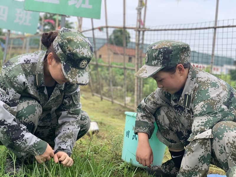 正苗启德教育