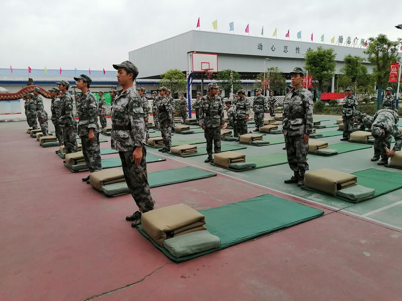 正苗启德教育
