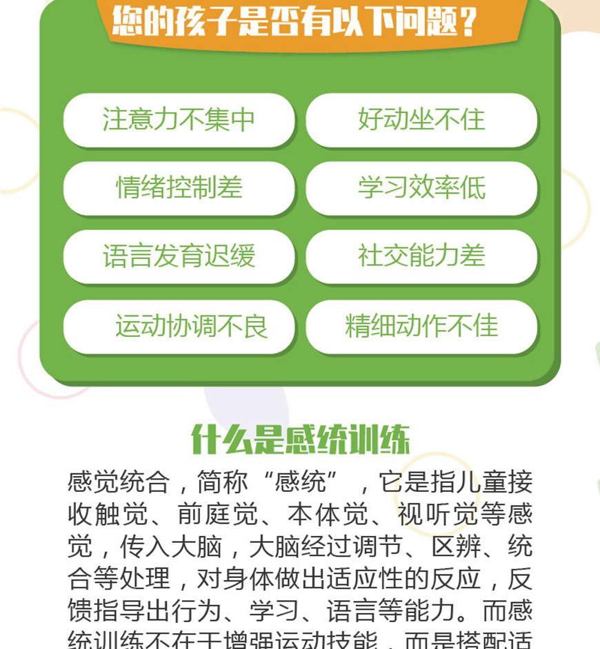 金慧儿教育
