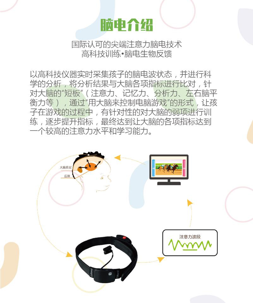 金慧儿教育