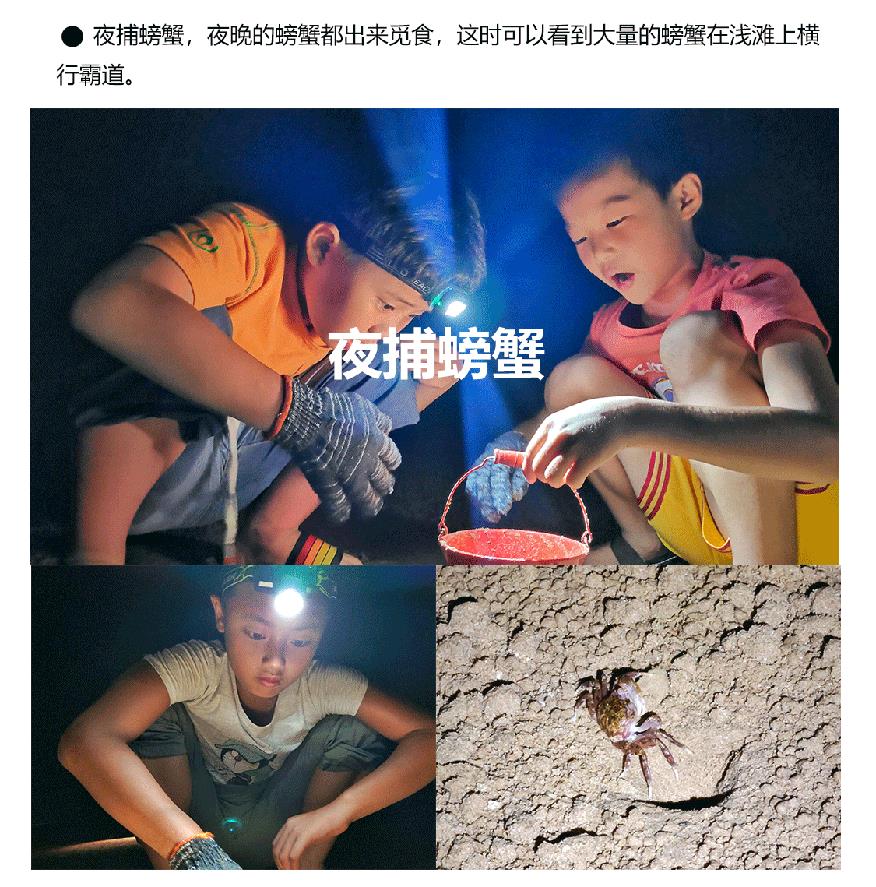 开营啦夏令营