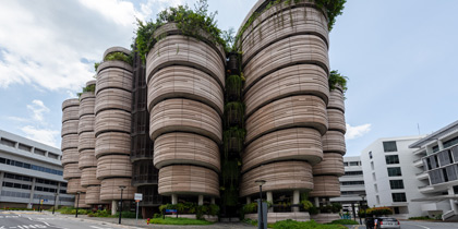 公立大学