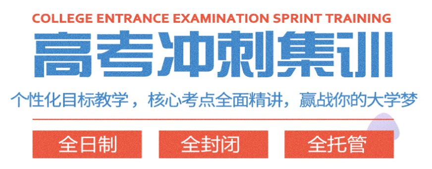 青岛朝晨教育