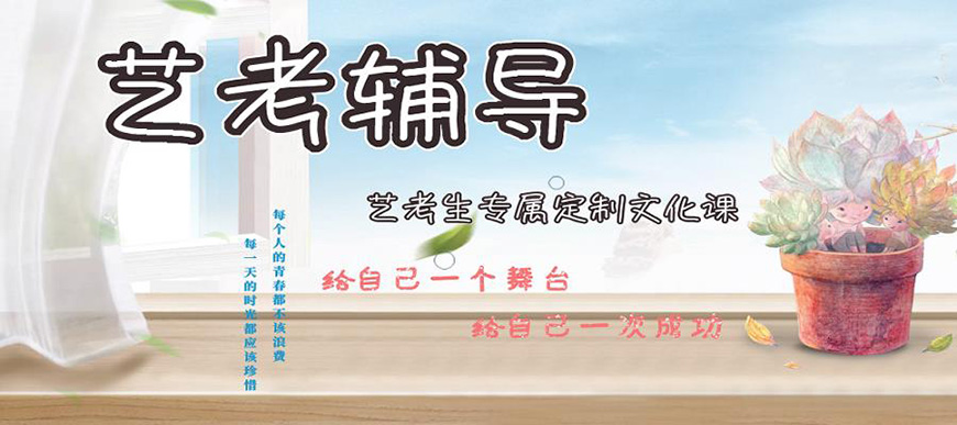文化课辅导