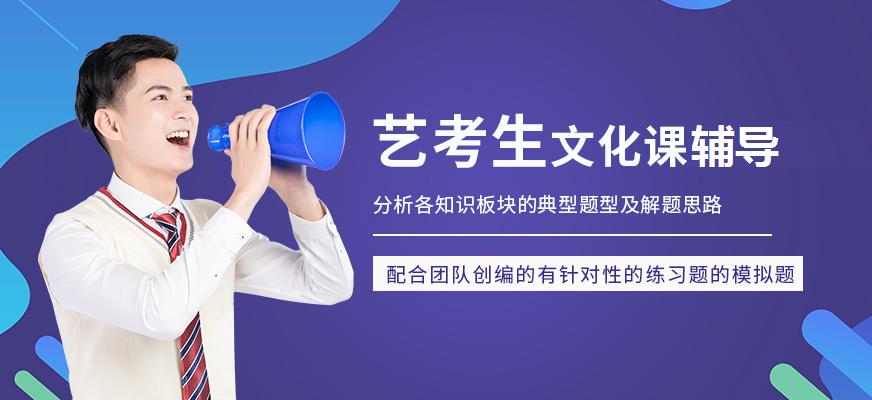 文化课辅导