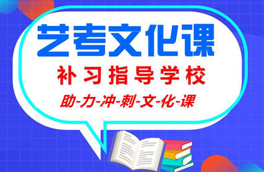 文化课辅导