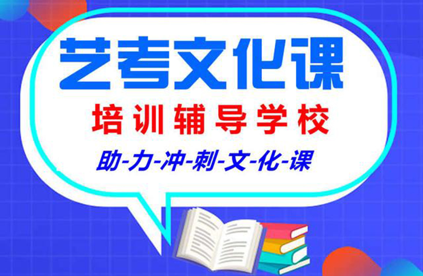 文化课辅导