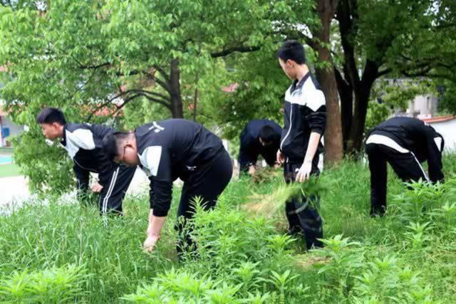 叛逆教育机构