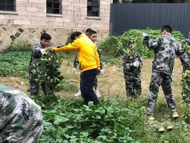 叛逆教育机构