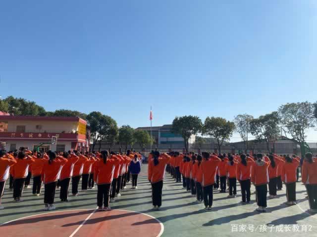 叛逆教育机构