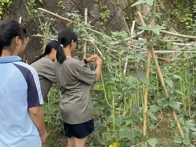 叛逆教育机构