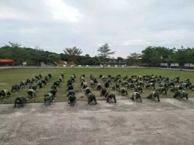 叛逆教育机构