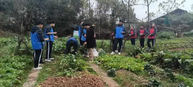 叛逆教育机构
