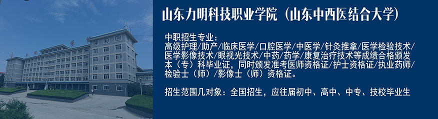 山东力明科技职业学院