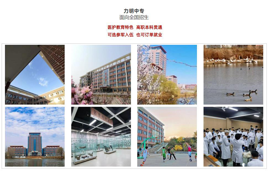 山东力明科技职业学院