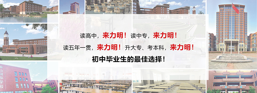 山东力明科技职业学院
