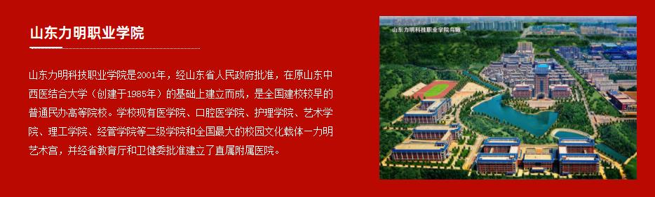 山东力明科技职业学院