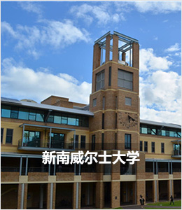 新南威尔士大学