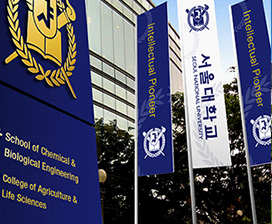 首尔国立大学