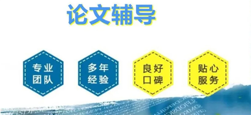 论文辅导
