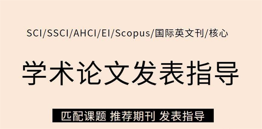 论文辅导