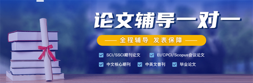 论文辅导
