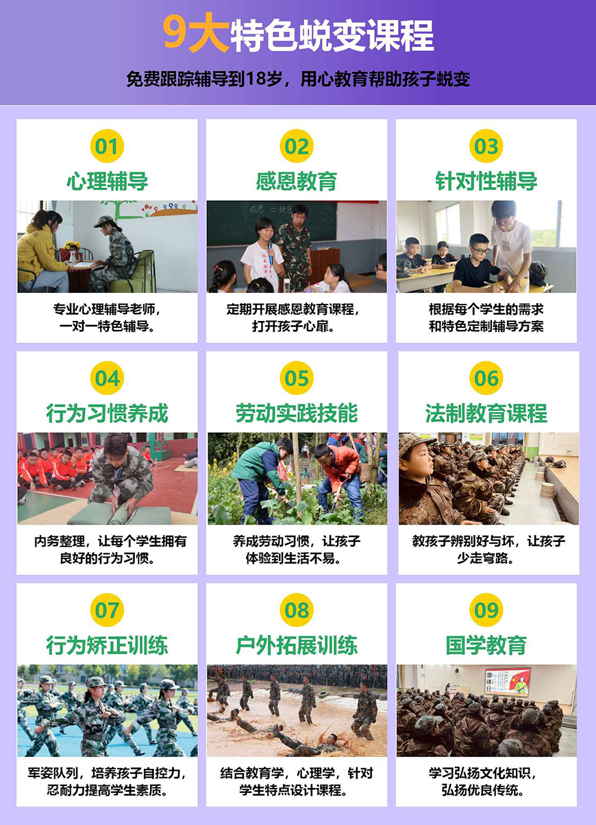 叛逆通用图