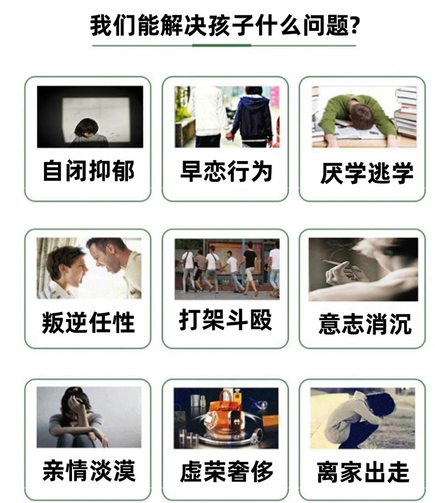 叛逆通用图
