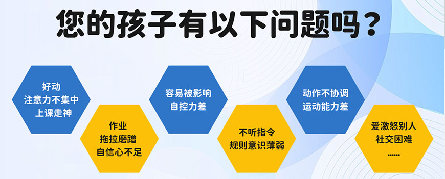 上海知心鳥(niǎo)