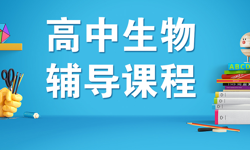 中小学教育