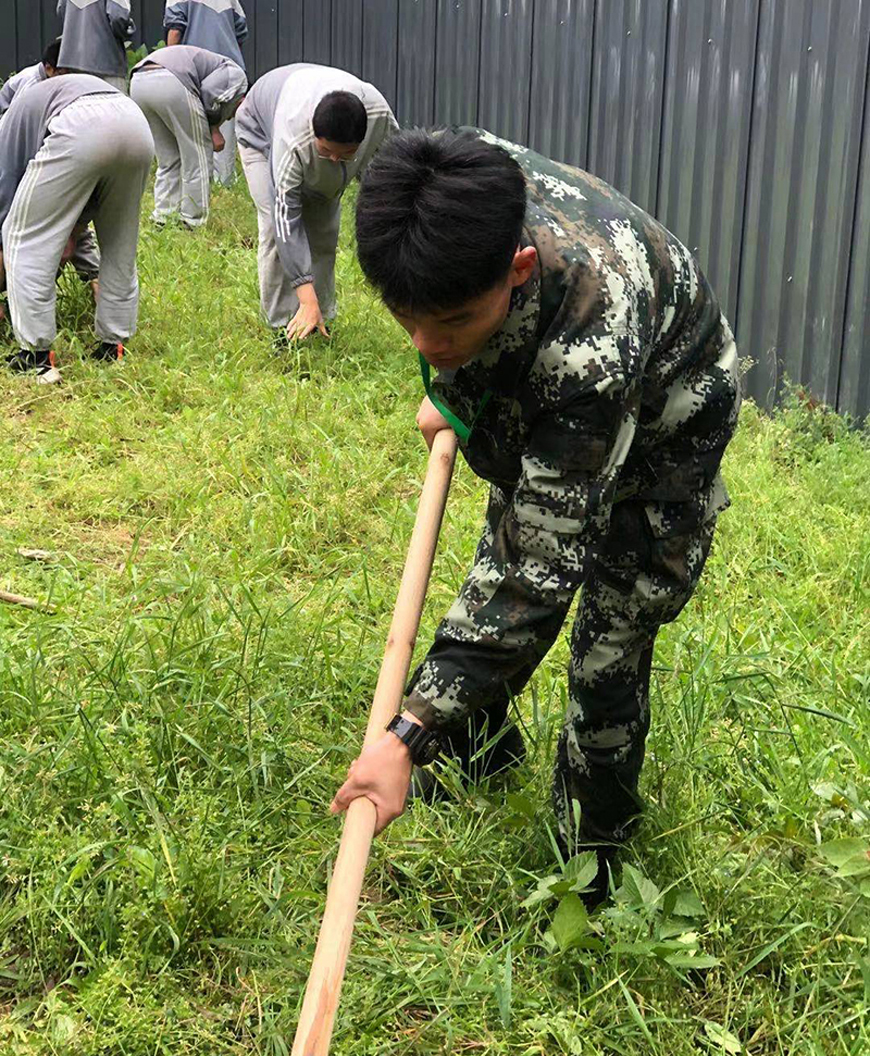 叛逆