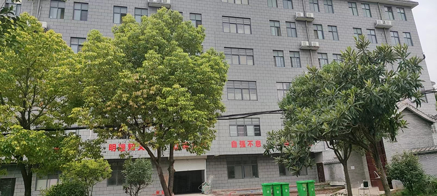 洛阳国瑾叛逆