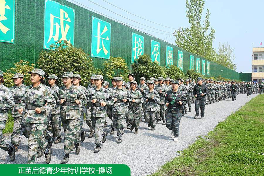 正苗启德叛逆