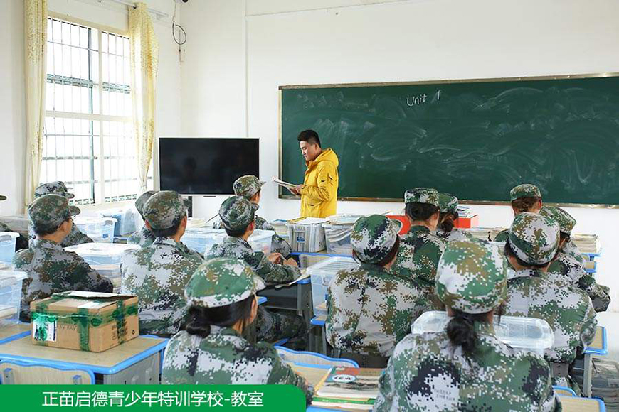 正苗启德叛逆