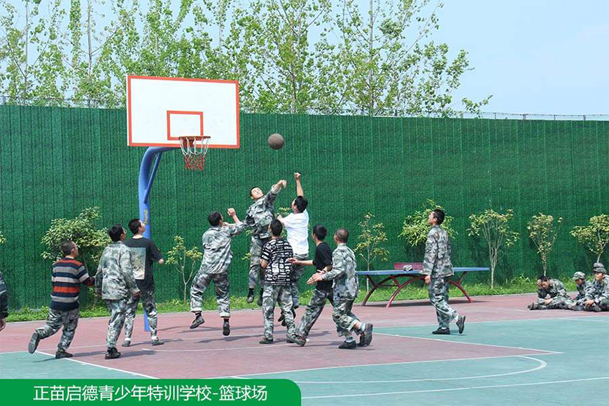 正苗启德叛逆
