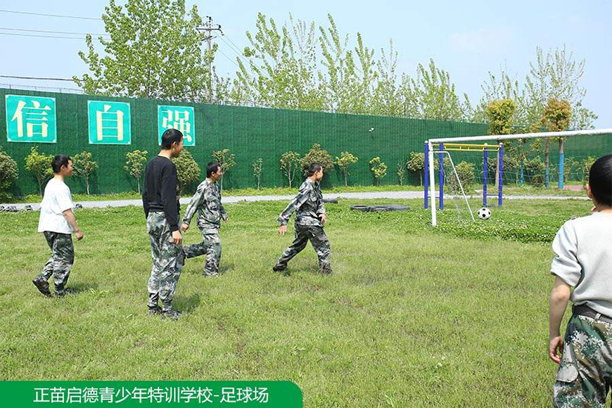 正苗启德叛逆