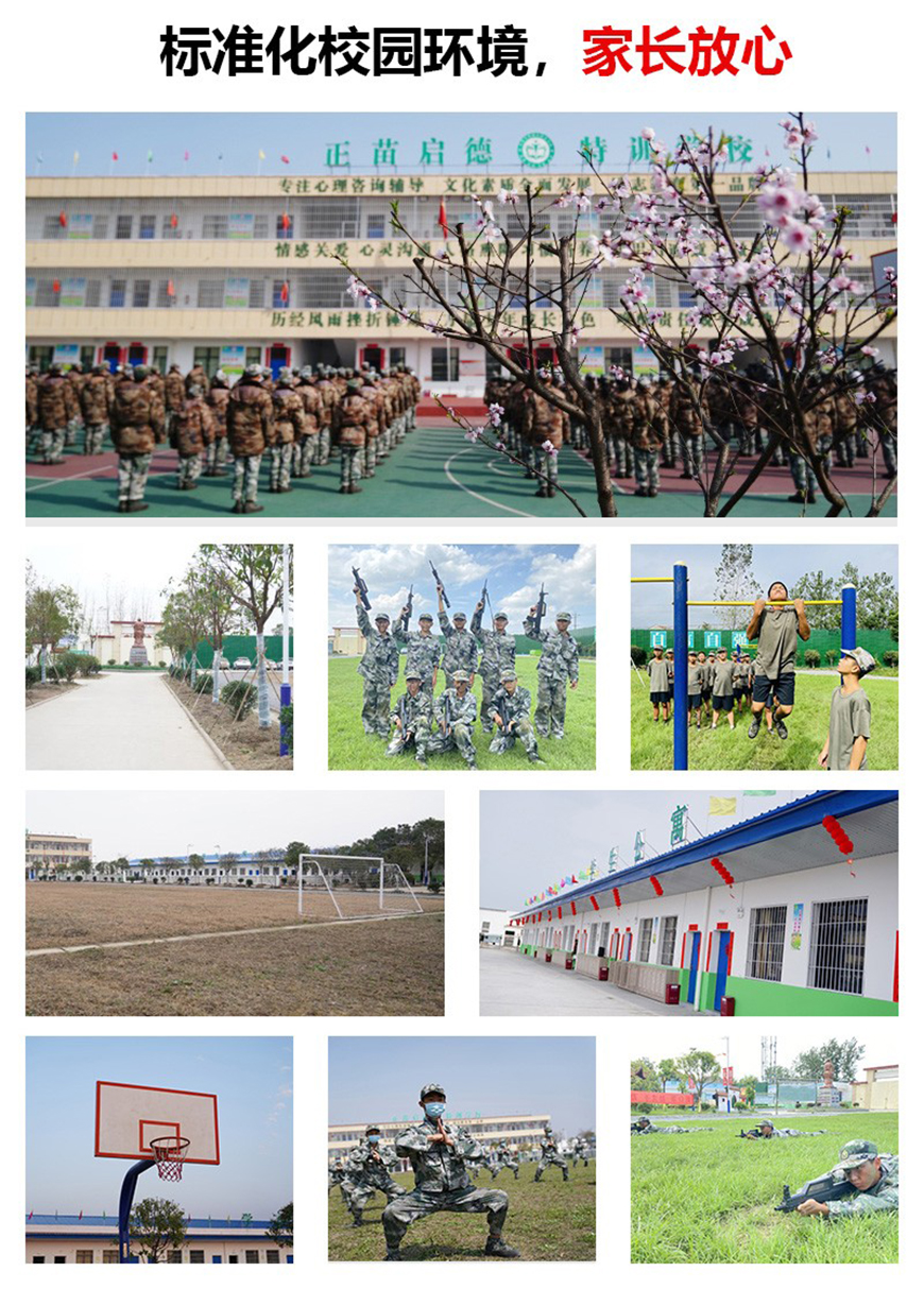 正苗启德叛逆