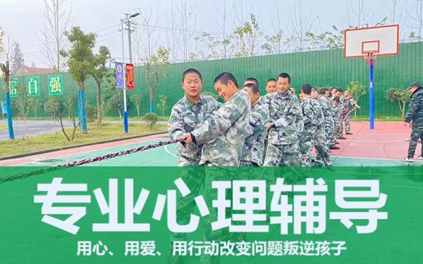 正苗启德叛逆