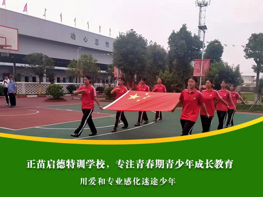 正苗启德叛逆