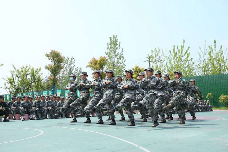 正苗启德叛逆