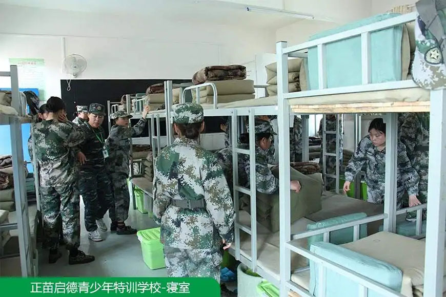 正苗启德叛逆