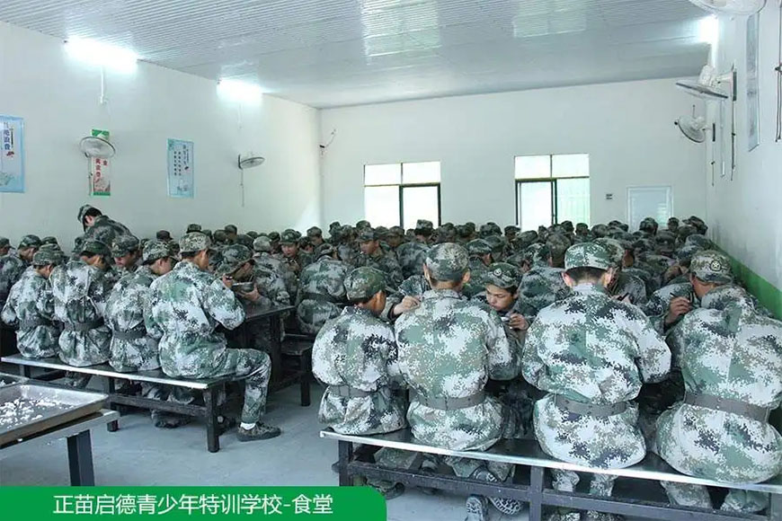 正苗启德叛逆
