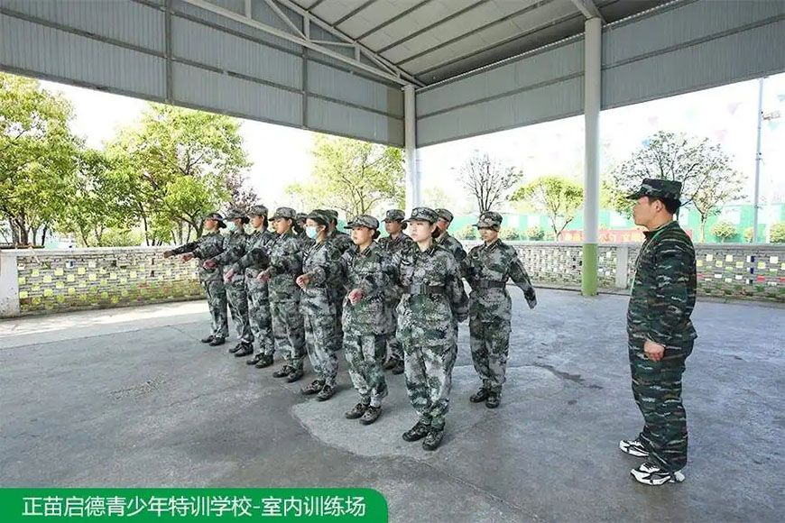 正苗启德叛逆